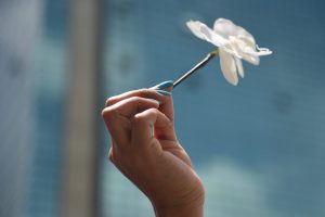 A Venezuelan opposition activist holds a flower during a women's march aimed to keep pressure on President Nicolas Maduro, whose authority is being increasingly challenged by protests and deadly unrest, in Caracas on May 6, 2017. The death toll since April, when the protests intensified after Maduro's administration and the courts stepped up efforts to undermine the opposition, is at least 36 according to prosecutors. / AFP PHOTO / RONALDO SCHEMIDT