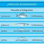 Gráfico Pescado