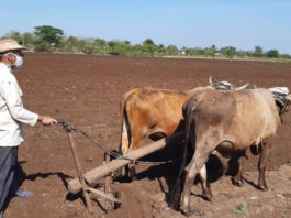 Fedeagro: "Sin alimentación no puede haber salud, y esto es lo que a nosotros nos esta sucediendo"