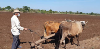 Fedeagro: "Sin alimentación no puede haber salud, y esto es lo que a nosotros nos esta sucediendo"