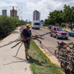 Tala indiscriminada para suplir la escasez de gas y luz en Venezuela