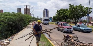 Tala indiscriminada para suplir la escasez de gas y luz en Venezuela