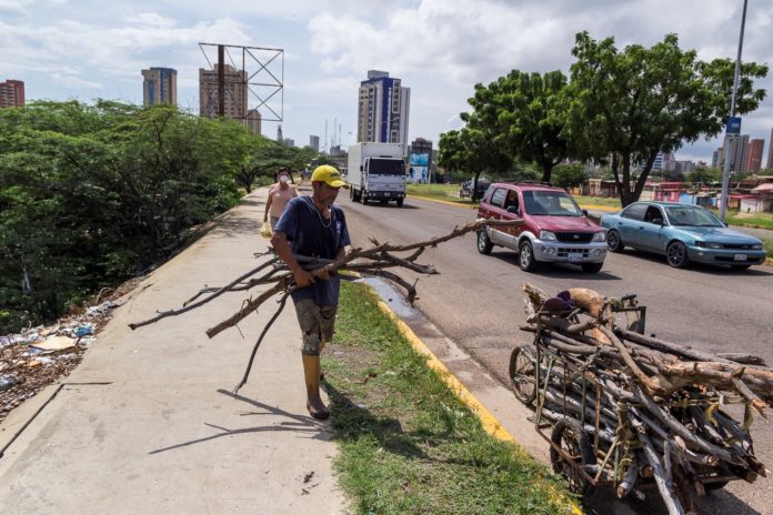 Tala indiscriminada para suplir la escasez de gas y luz en Venezuela