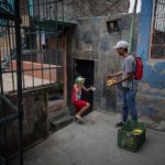 Al grito de «se cambian plátanos» jóvenes caraqueños sobreviven día a día