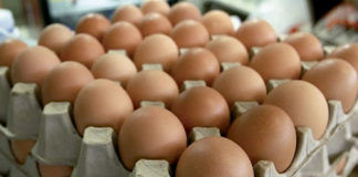 99% de las ventas de alimentos incluyen huevos