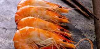 Productores de camarones han exportado más de 18 toneladas en lo que va de 2021