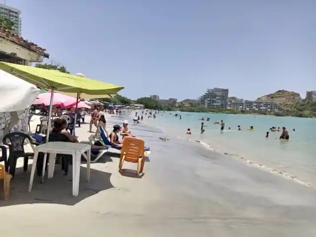 playa concorde ecocidio
